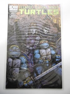 Teenage Mutant Ninja Turtles #19 Cover B