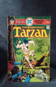 Edgar Rice Burroughs' Tarzan #244 (1975)