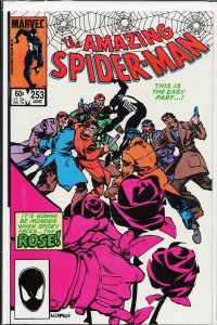 Amazing Spider-Man (1963 1st Series) #253