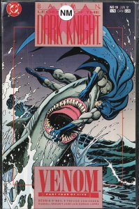 Legends of the Dark Knight #19 (1991) Batman
