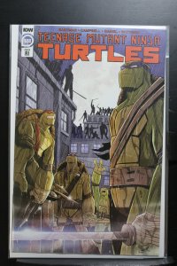 Teenage Mutant Ninja Turtles #108 Cover RI (2020)