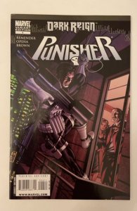 Punisher #4 (2009)