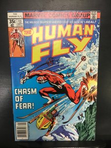The Human Fly #13 (1978)nm