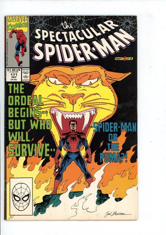 The Spectacular Spider-Man #171 (1990) Spider-Man Marvel Comics