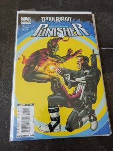 Punisher #5 (2009) VARIANT COVER