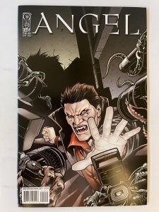 Angel #19  - NM+  (2009)