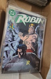 Robin #5 (1991)