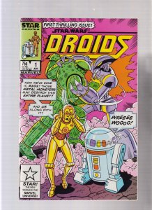 Droids #1 - The Destroyer! (9.0/9.2) 1986