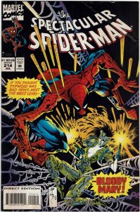 Spectacular Spider-Man #214 Ann Nocenti Typhoid Mary FN