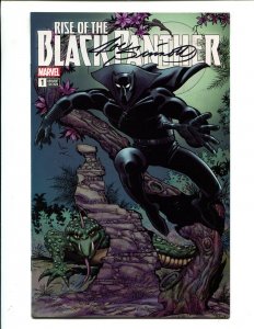 Rise Of The Black Panther #1 - Signed by Joe Sinnott Cover Variant (9.2 OB) 2018