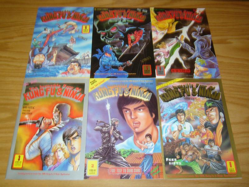 the Invincible Four of Kung Fu & Ninja #1-6 VF/NM complete series - dr. leung's