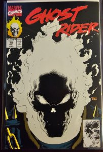 Ghost Rider #15 (1991)