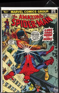 The Amazing Spider-Man #123 (1973) Spider-Man