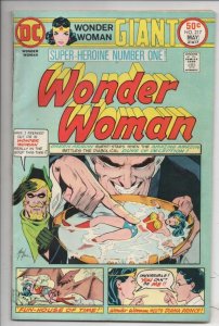 WONDER WOMAN #217, FN, Green Arrow, Mike Grell, 68 pgs,1942 1975