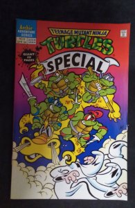 Teenage Mutant Ninja Turtles Adventures Special #8 (1994)