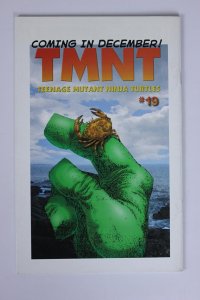 TMNT:  Teenage Mutant Ninja Turtles #18 (2004) NM
