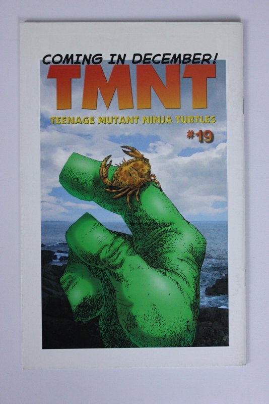 TMNT:  Teenage Mutant Ninja Turtles #18 (2004) NM