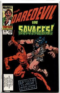 Daredevil #202 (1984) Daredevil
