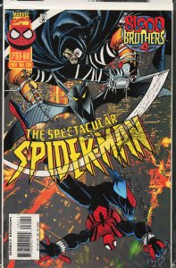 The Spectacular Spider-Man #234 (1996) Spider-Man