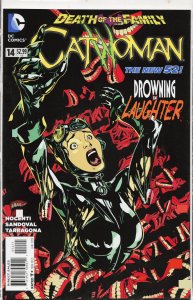 Catwoman #14 (2013) Catwoman