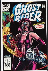 Ghost Rider #75 (1982) Ghost Rider