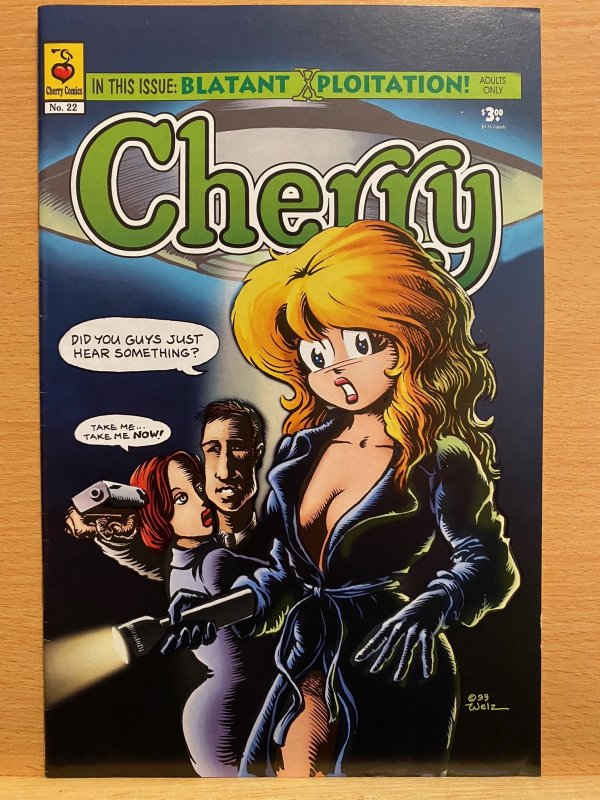 10 Issues of Cherry #11 through #19 and #22 Adults Only Underground Comics