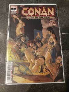 Conan the Barbarian: The Life and Death of Conan #2 (2020)