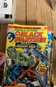 Jungle Action #17 (1975) Black Panther 