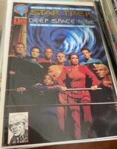 Star Trek: Deep Space Nine #1 Cover B (1993) Star Trek: Deep Space Nine 