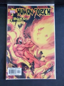 Human Torch #4 (2003)