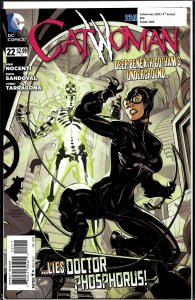 Catwoman #22 (2013) Catwoman