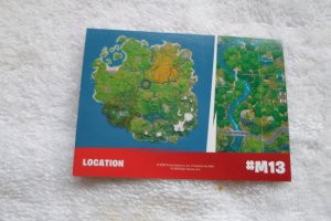 2020 PAMINI EPIC GAME CARD FORTNITE INSERT LOCATION & WEEPING WOODS # M13