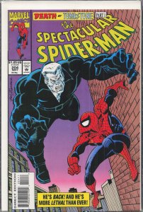 The Spectacular Spider-Man #204 (1993) Spider-Man