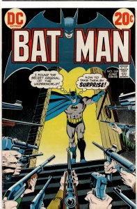 Batman #249 (1973) Batman