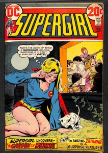 Supergirl #3 (1973)