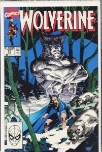 Wolverine #25 (1990) Wolverine