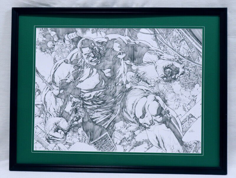 Indestructable Hulk Framed 18x24 Photo Display