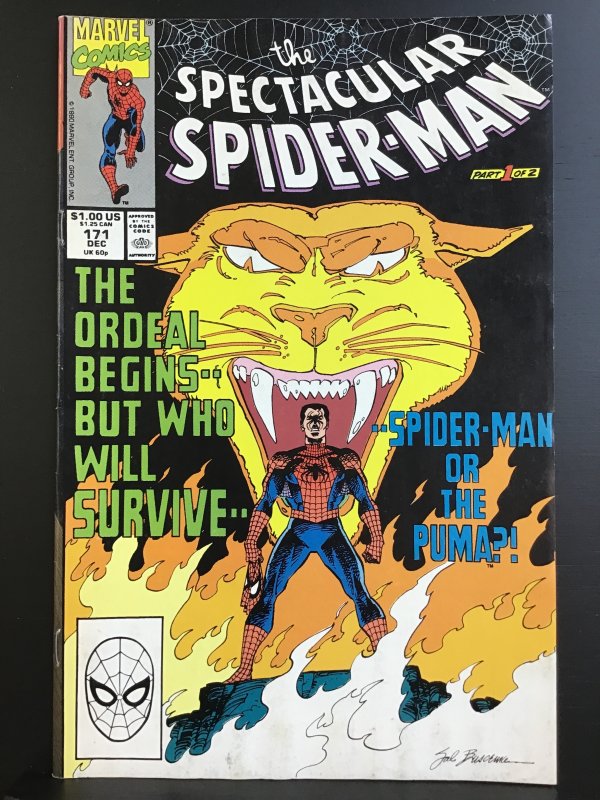 The Spectacular Spider-Man #171 (1990)