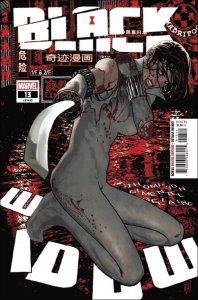 Black Widow (8th Series) #13 VF/NM ; Marvel | 53 Adam Hughes