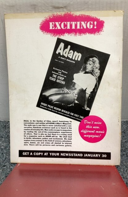 True police Vol 1 #2 1953