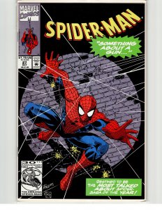 Spider-Man #27 (1992) Spider-Man