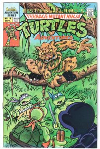 Teenage Mutant Ninja Turtles Adventures #14 (1990) Raphael