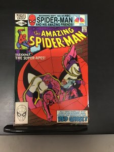The Amazing Spider-Man #223 (1981) nm