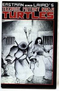 TEENAGE MUTANT NINJA TURTLES #17--1988--comic book--VF/NM