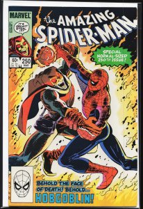 The Amazing Spider-Man #250 (1984) Spider-Man