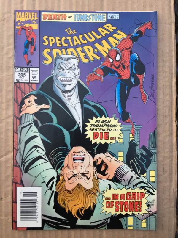 The Spectacular Spider-Man #205 (1993)