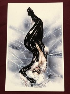 BLACK CAT WEB SIGNED PRINT POSTER 11X17 NM SHPPD FLAT EBAS ERIC BASALDUA