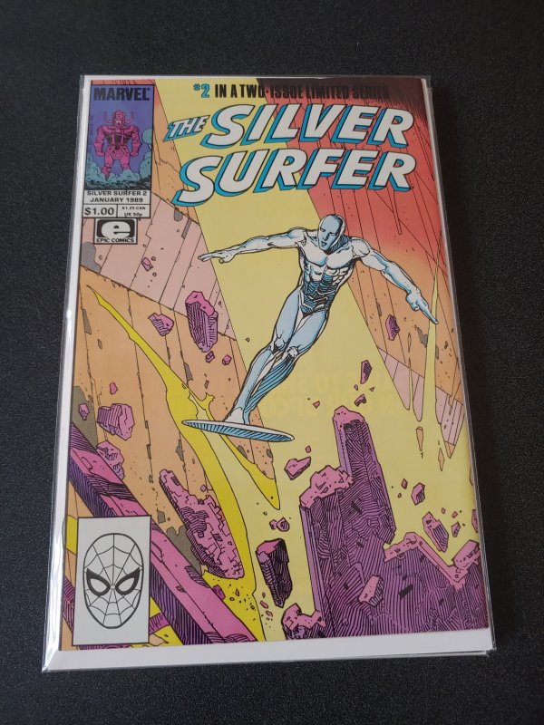 The Silver Surfer #2 (1989)