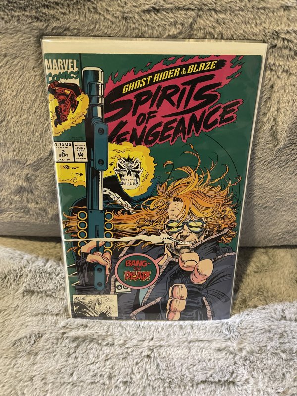 Ghost Rider/Blaze: Spirits of Vengeance #2 (1992)