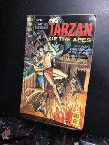 Edgar Rice Burroughs' Tarzan #188 (1969) Kaveri Warriors Painted cover k...
